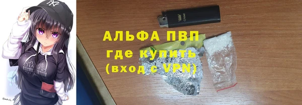 прущие грибы Арсеньев