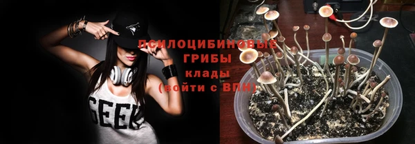 Альфа ПВП Аркадак