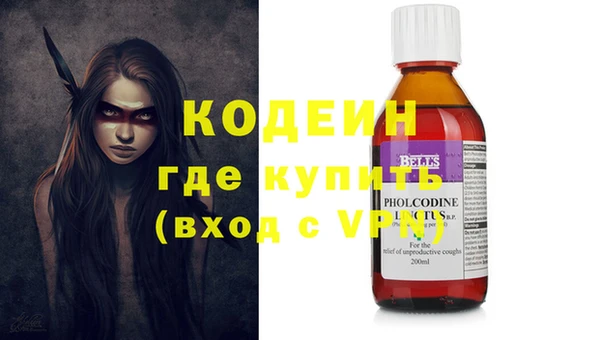 прущие грибы Арсеньев