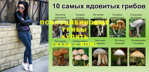 mix Армянск