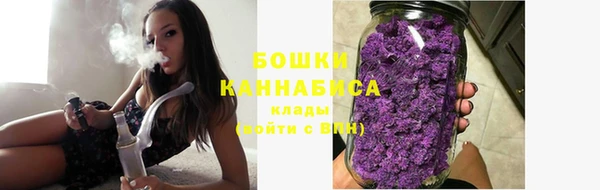 прущие грибы Арсеньев