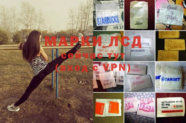 Альфа ПВП Аркадак