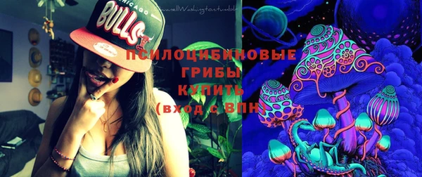 Альфа ПВП Аркадак