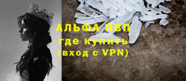 прущие грибы Арсеньев