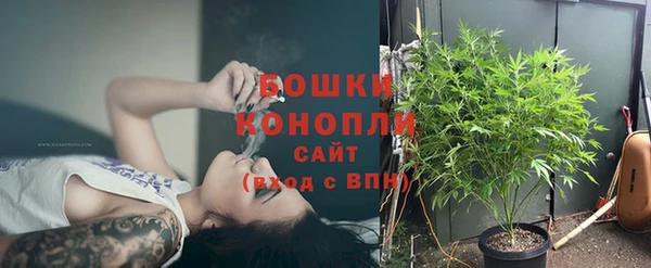 Альфа ПВП Аркадак